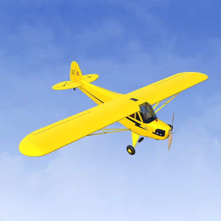 RealFlight Evolution - 2025 Year Content Pass Screenshot 5