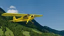 RealFlight Evolution - 2025 Year Content Pass Screenshot 31