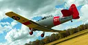 RealFlight Evolution - 2025 Year Content Pass Screenshot 147