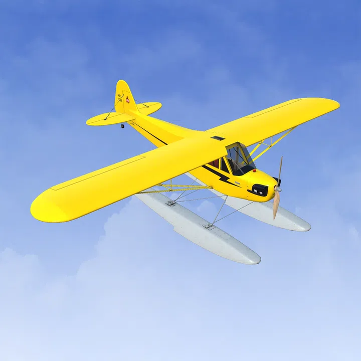 RealFlight Evolution - 2025 Year Content Pass Screenshot 7
