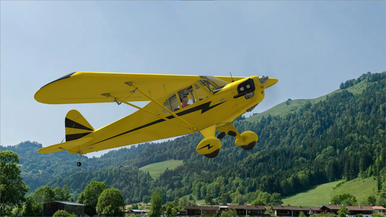 RealFlight Evolution - 2025 Year Content Pass Screenshot 113