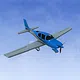 RealFlight Evolution - 2025 Year Content Pass Screenshot 4