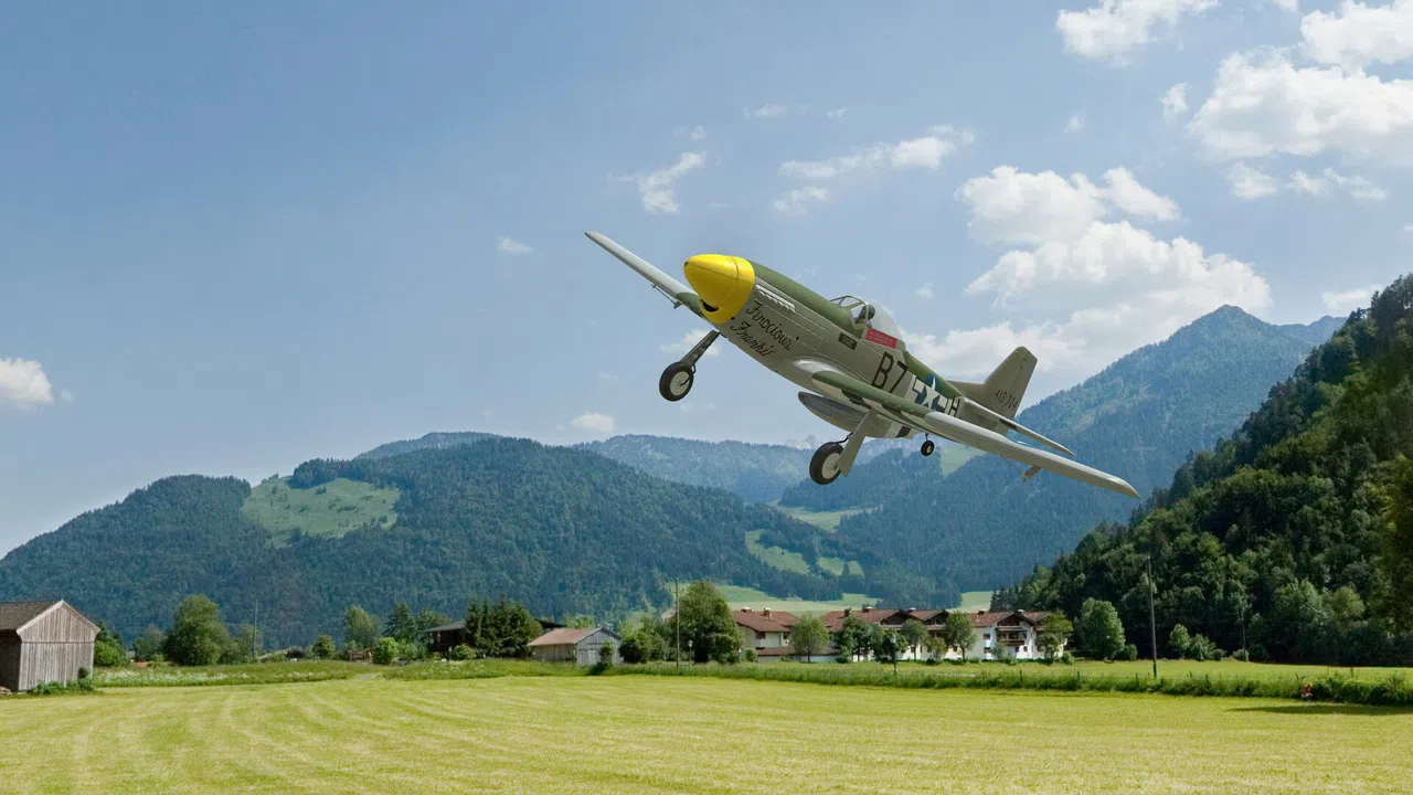 RealFlight Evolution - 2025 Year Content Pass Screenshot 12