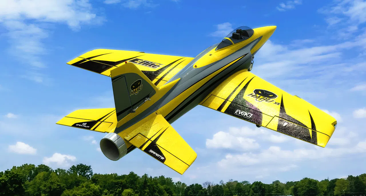 RealFlight Evolution - 2025 Year Content Pass Screenshot 50