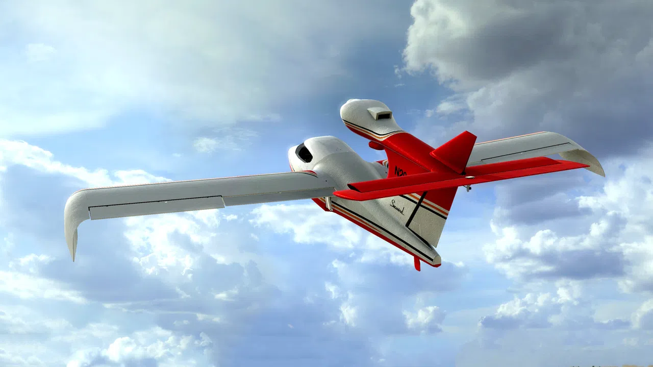 RealFlight Evolution - 2025 Year Content Pass Screenshot 42