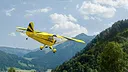 RealFlight Evolution - 2025 Year Content Pass Screenshot 112