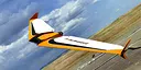 RealFlight Evolution - 2025 Year Content Pass Screenshot 124