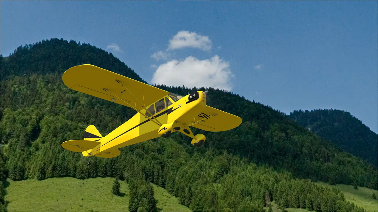 RealFlight Evolution - 2025 Year Content Pass Screenshot 107