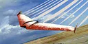 RealFlight Evolution - 2025 Year Content Pass Screenshot 126