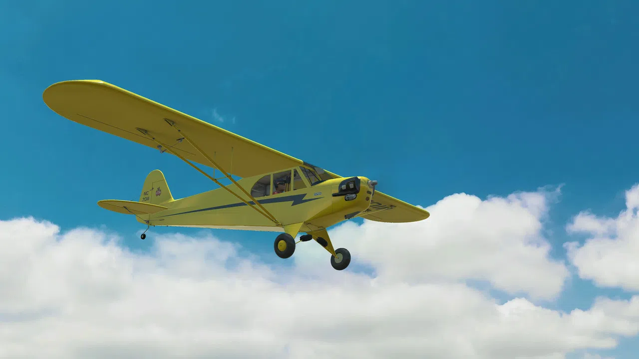 RealFlight Evolution - 2025 Year Content Pass Screenshot 37