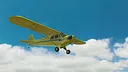 RealFlight Evolution - 2025 Year Content Pass Screenshot 37