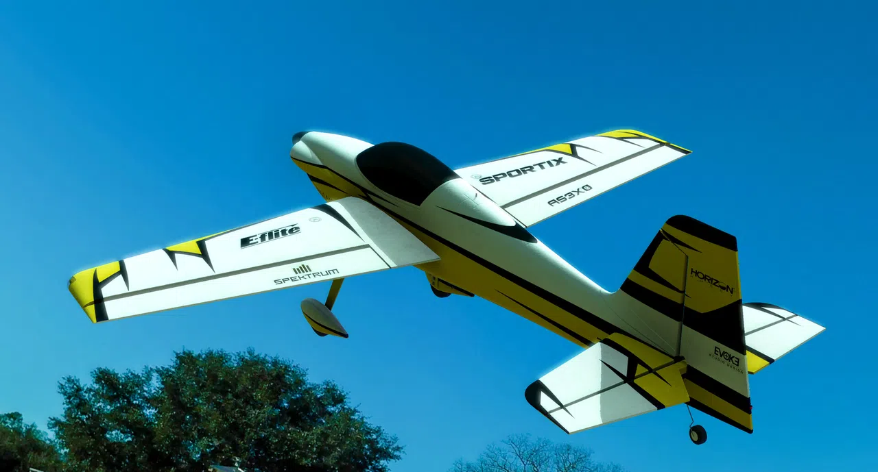 RealFlight Evolution – E-flite Sportix 1.1m Screenshot 2