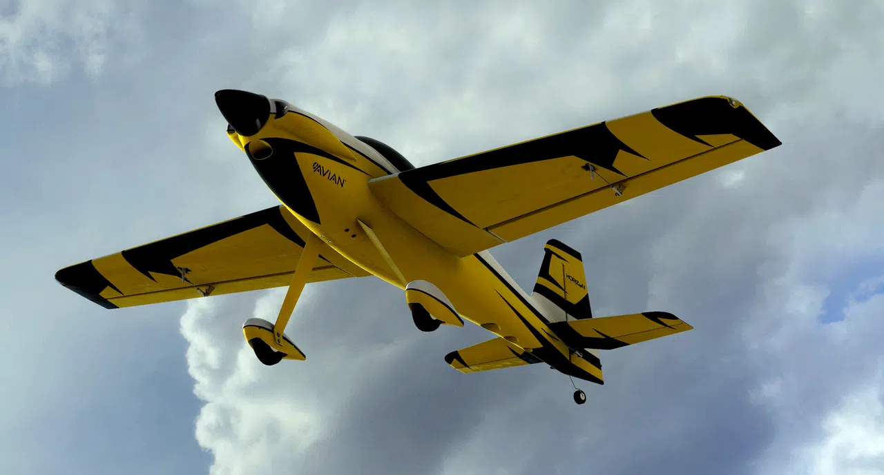 RealFlight Evolution – E-flite Sportix 1.1m Screenshot 1