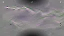 Jupiter Swirl Screenshot 16