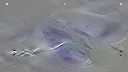 Jupiter Swirl Screenshot 8