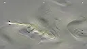 Jupiter Swirl Screenshot 6