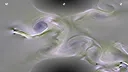 Jupiter Swirl Screenshot 18
