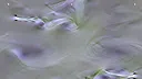 Jupiter Swirl Screenshot 11