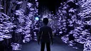 Escape from Chancellor's Chambers Screenshot 5