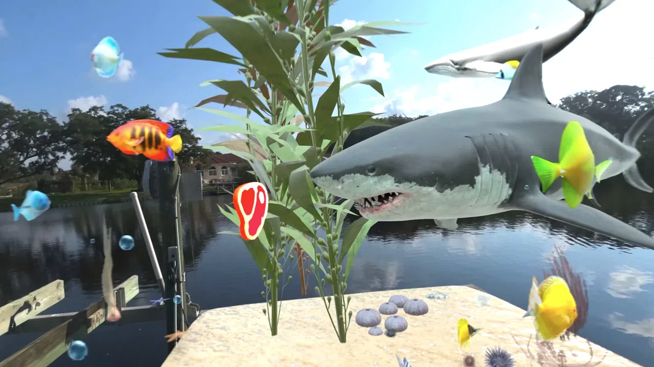 Aquarium Adventures Screenshot 2