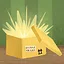 First Box icon