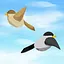Hunter icon