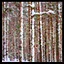 Frozen Flakes icon