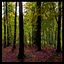 Hallows Ravine icon