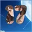 17 level completed