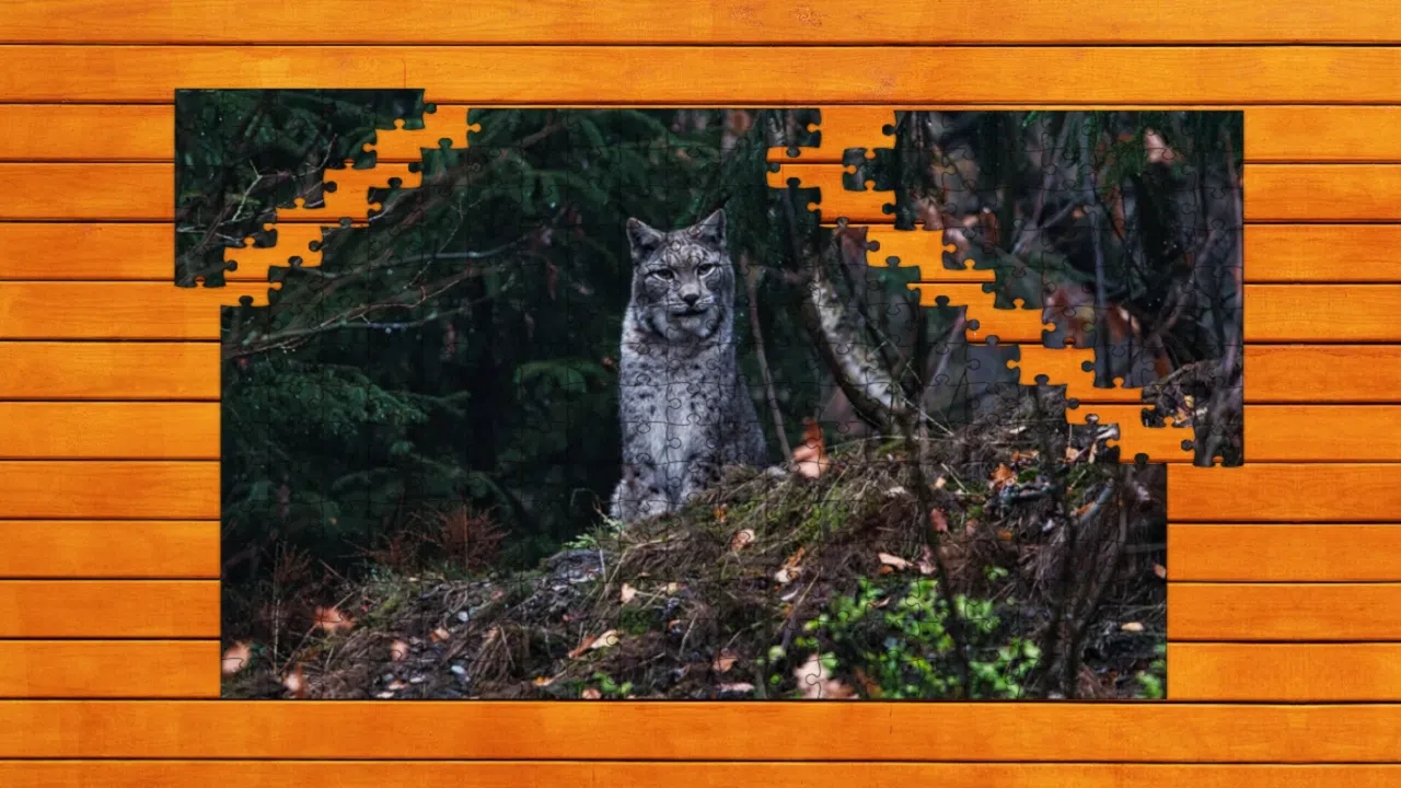 Wild Lynx Jigsaw - Expansion Pack 1 Screenshot 2