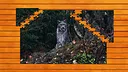 Wild Lynx Jigsaw - Expansion Pack 1 Screenshot 2