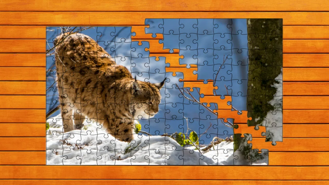 Wild Lynx Jigsaw - Expansion Pack 1 Screenshot 4
