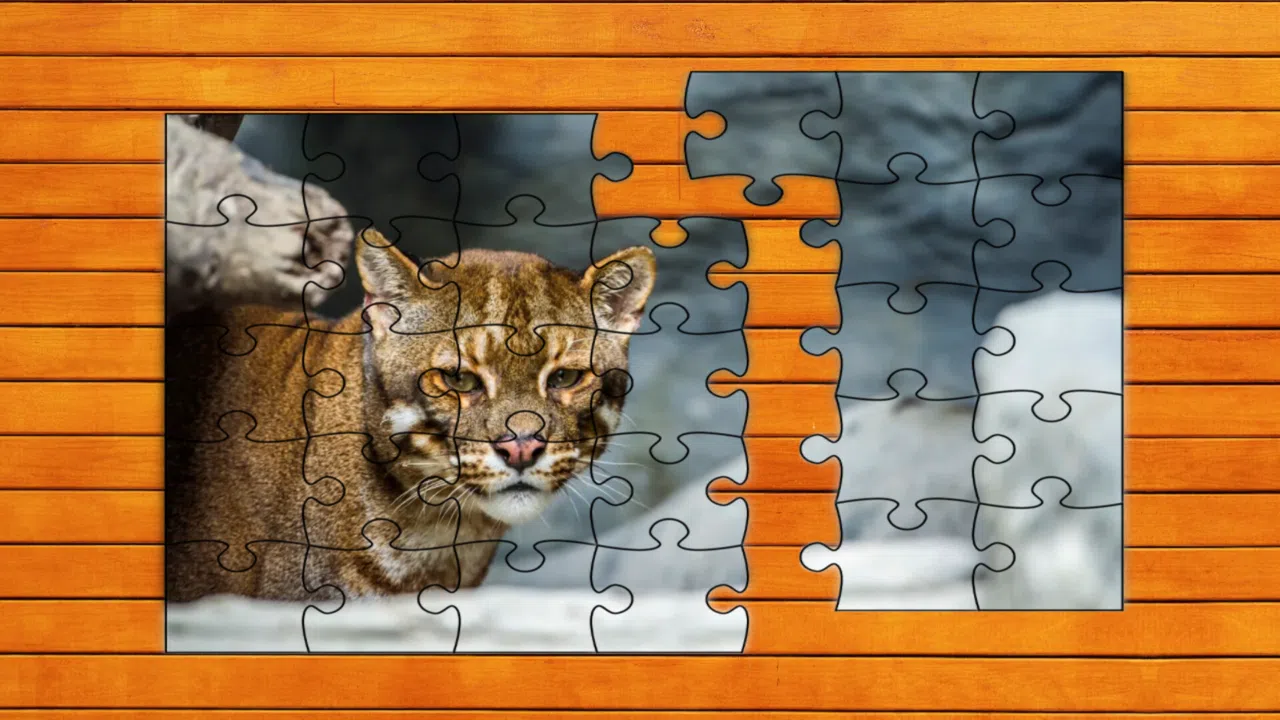 Wild Lynx Jigsaw - Expansion Pack 1 Screenshot 1