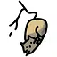Hemlock icon