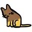 Asim icon