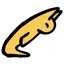 Paki icon