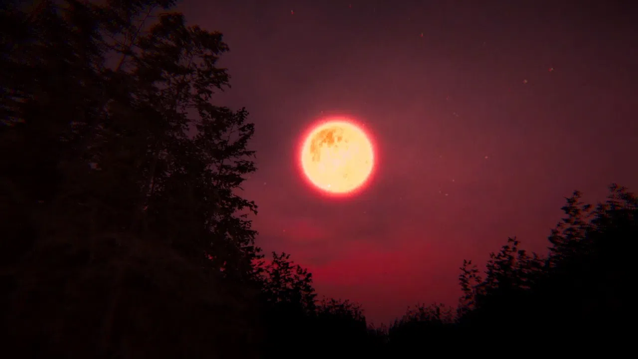 Deer Head Screenshot 4