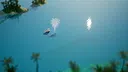 Lani's Call: A Tiny Whale Singer Story Screenshot 0