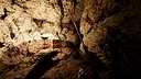 Spring Adventure Screenshot 1