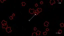 Quantum Loop Demo Screenshot 2