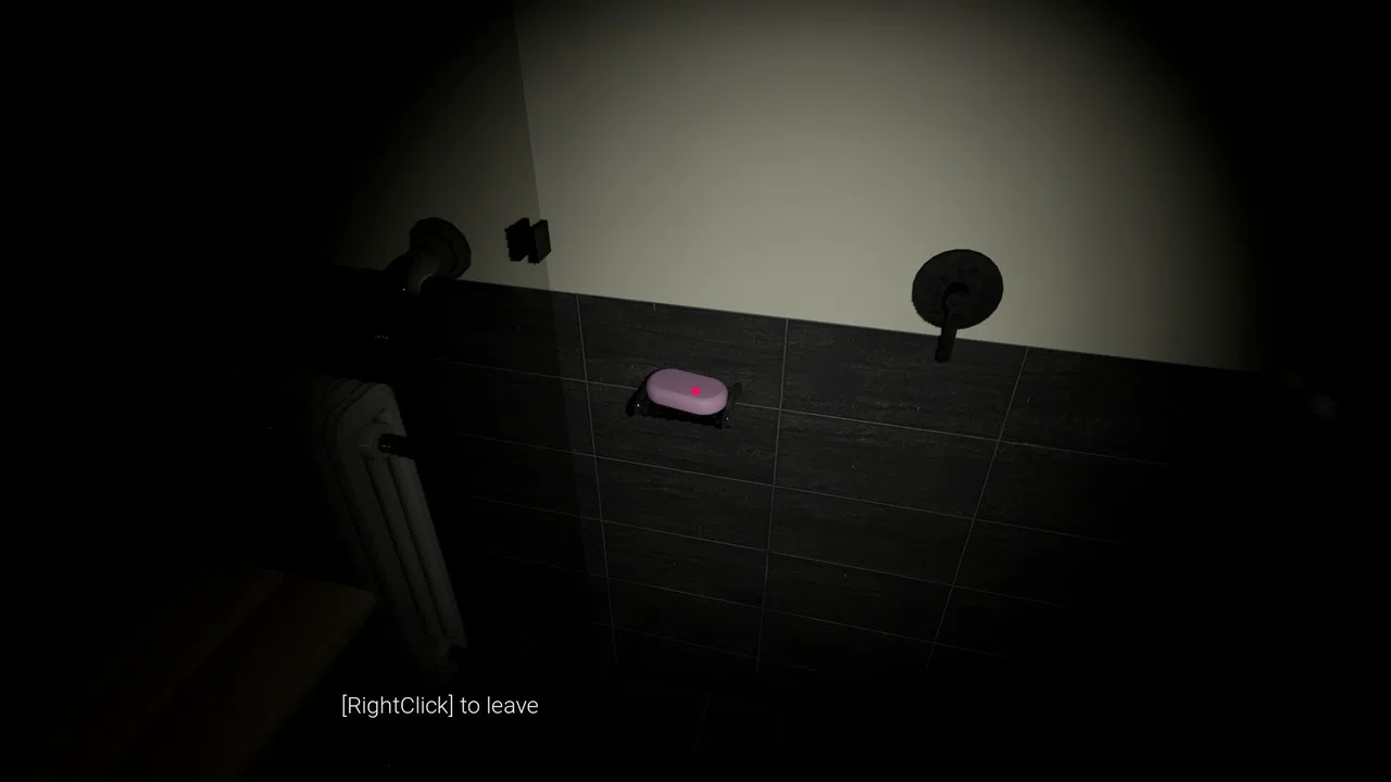 Bathroom Screenshot 2