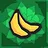 A Real Banana Farmer