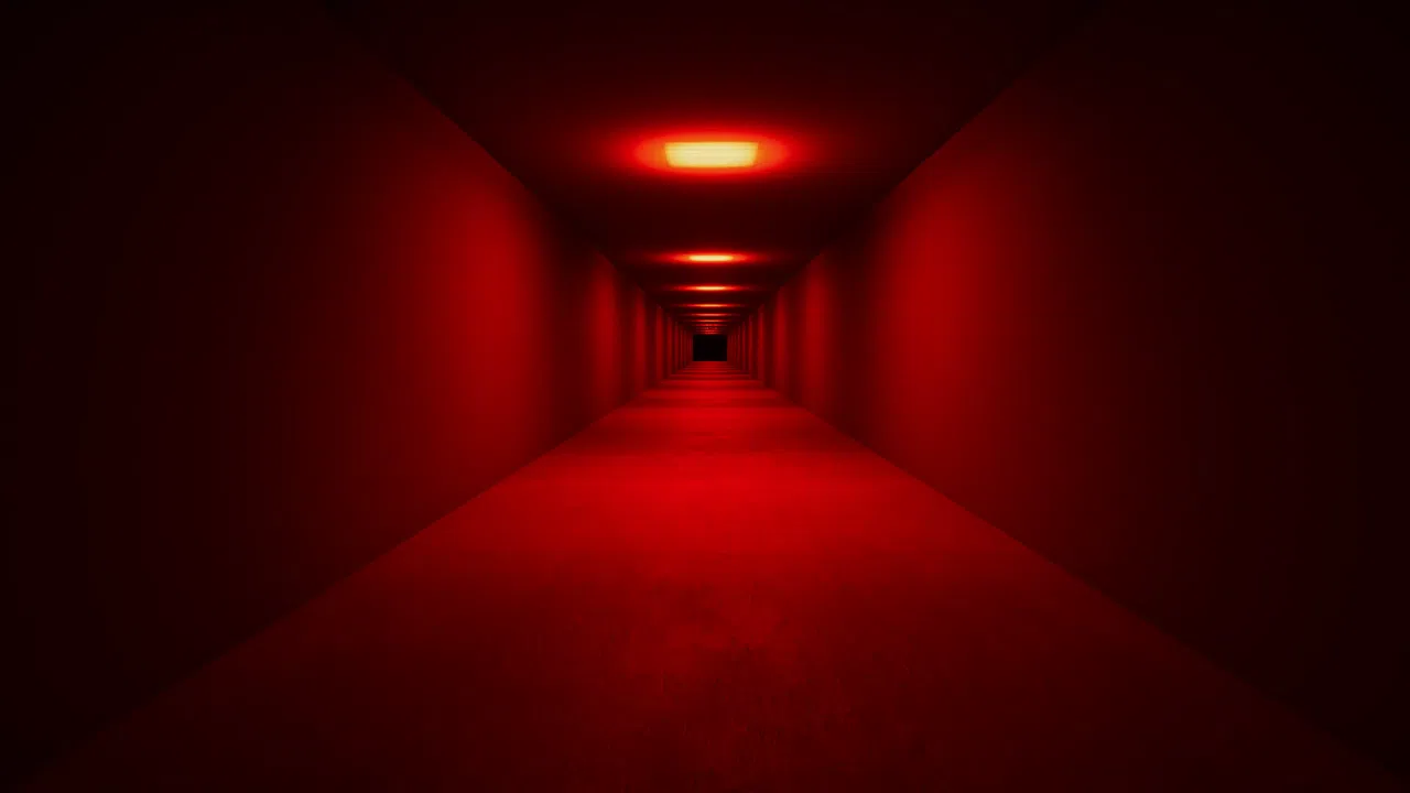 Dream Night Screenshot 2