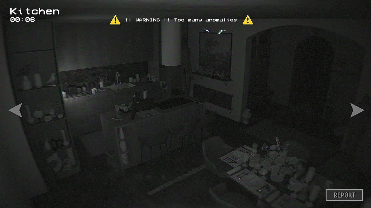 Anomaly Report Screenshot 4