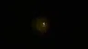 Hunt The Yeti Screenshot 1