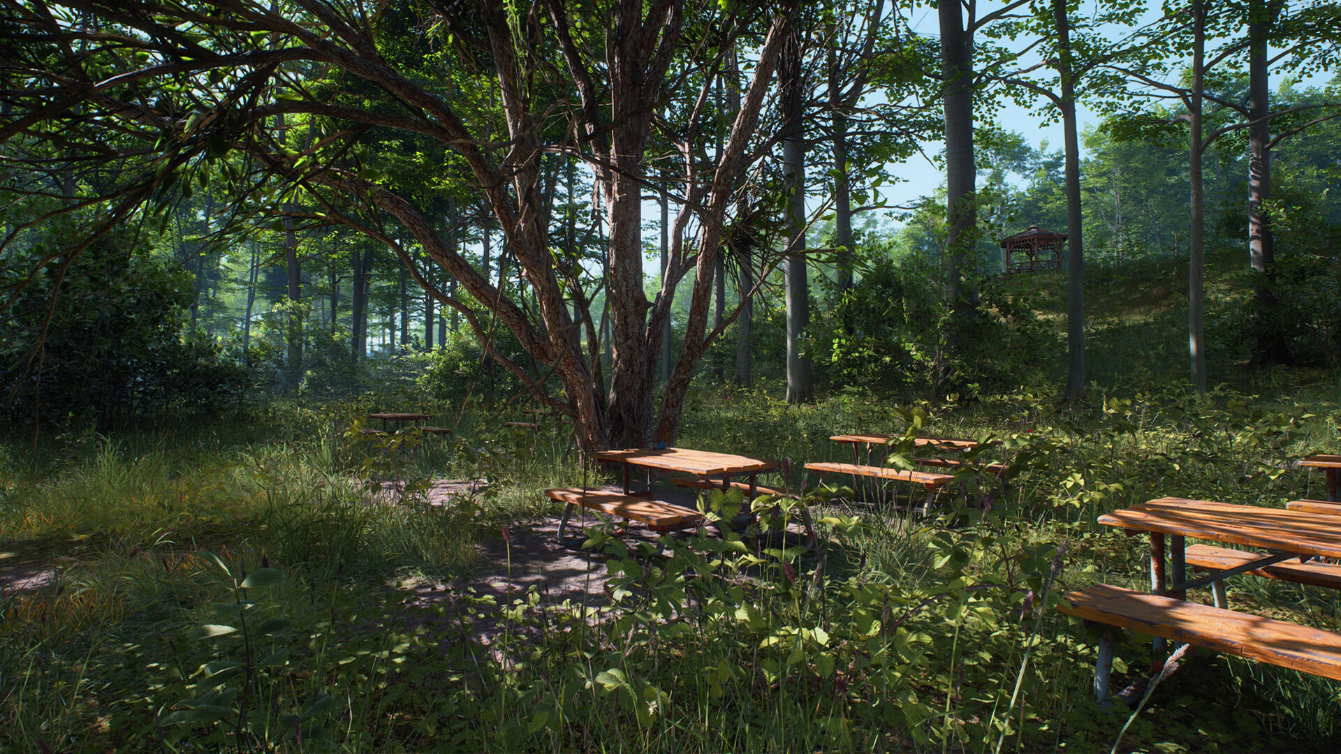 HIKE: Beyond the Trails Screenshot 7