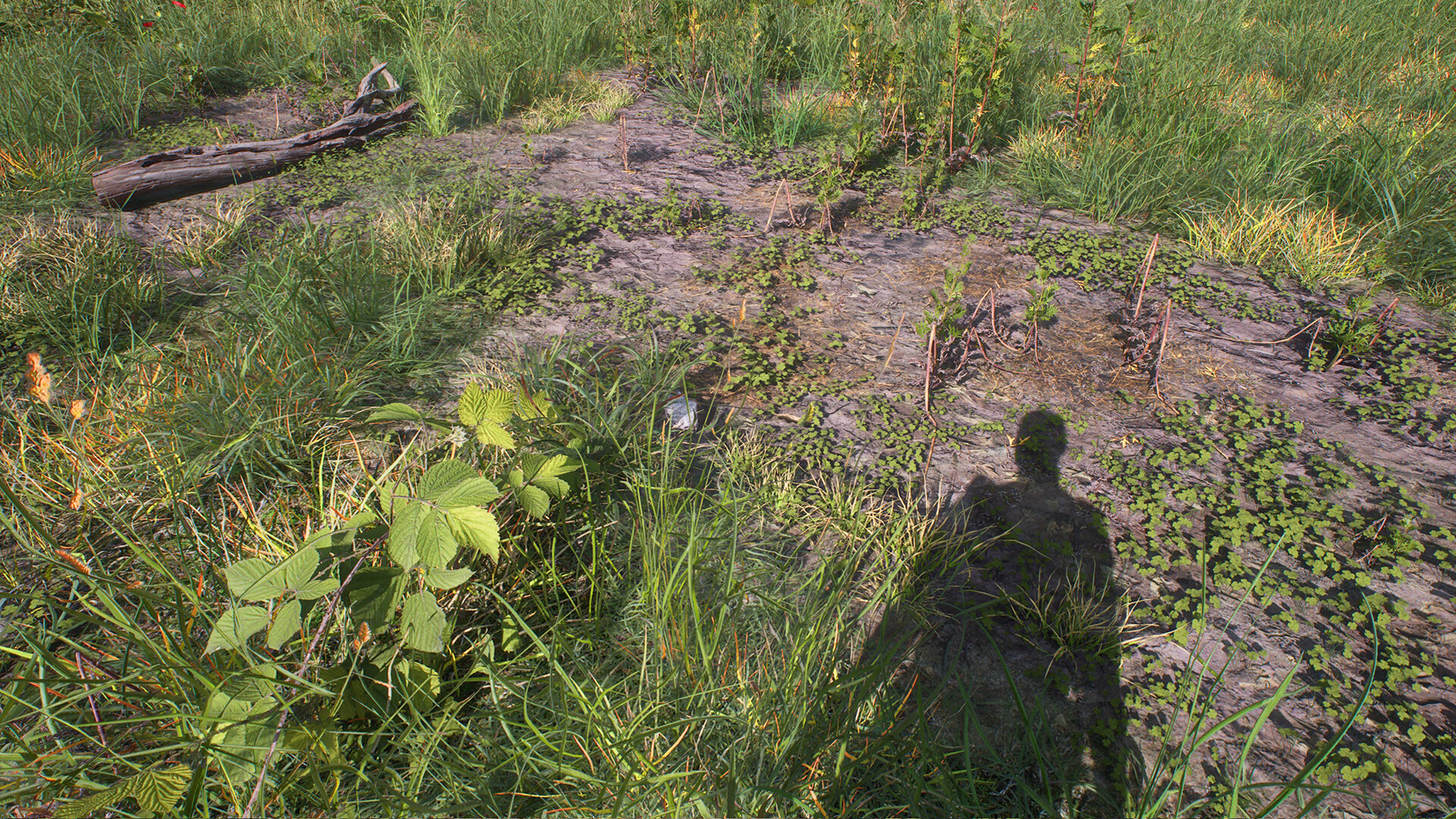 HIKE: Beyond the Trails Screenshot 8