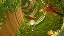 CLTRS Screenshot 1