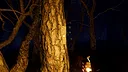Dreadpine Screenshot 5