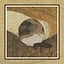 10 Cats icon